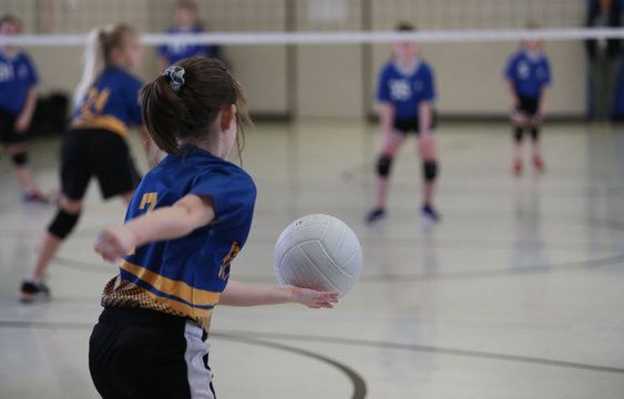 Volleyball Image